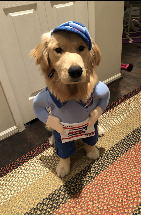 Archie